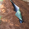 dupont-plantex-root-barrier.jpg, 18kB